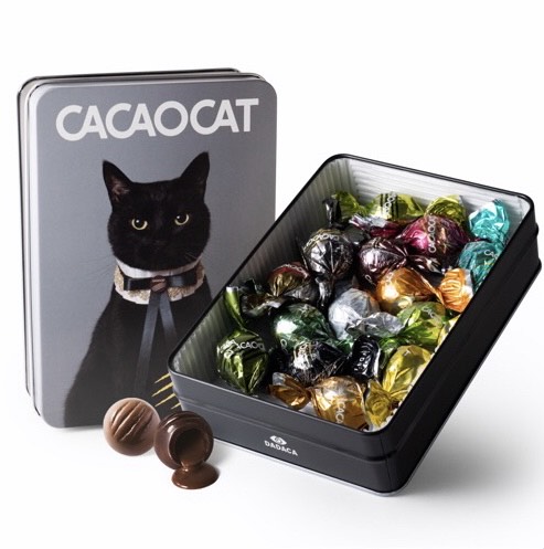 CACAOCAT 缶 ミックス 14個入り CAT