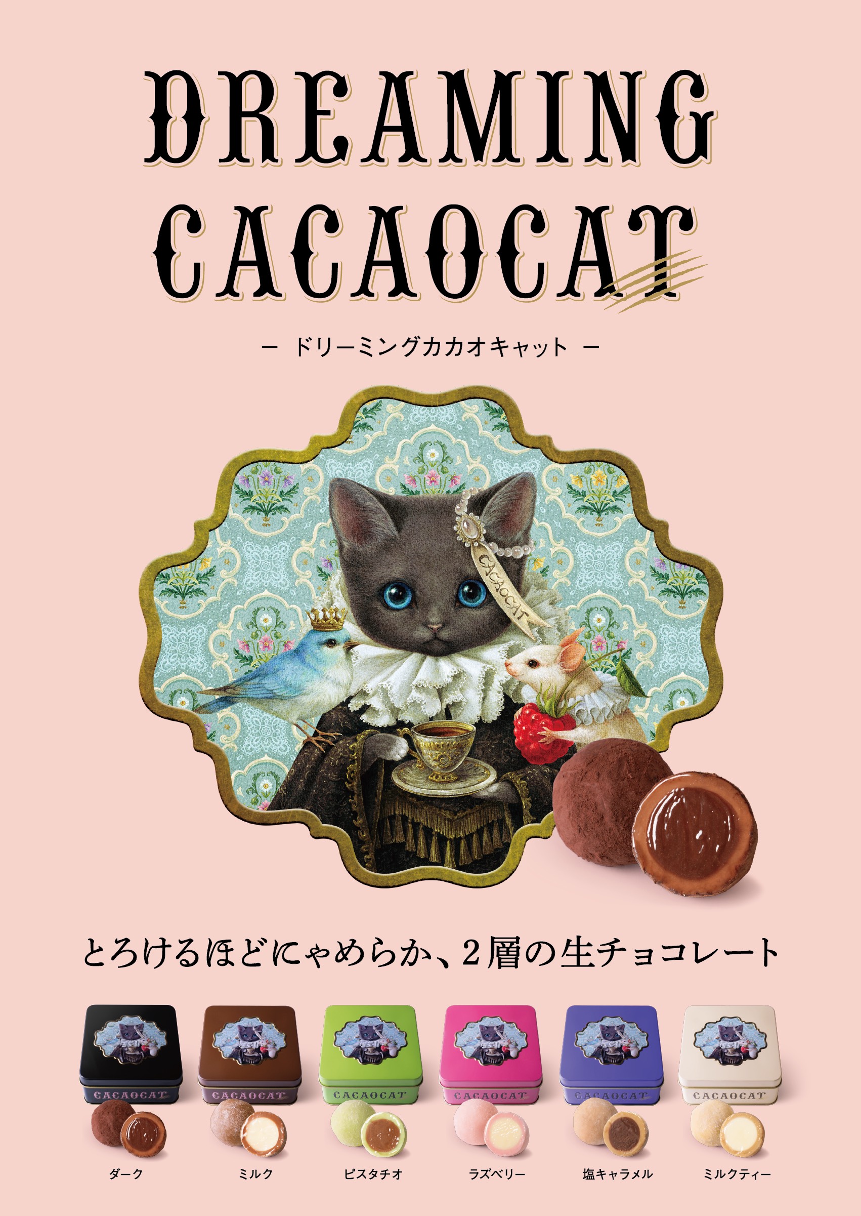 DREAMING CACAOCAT 5個入り