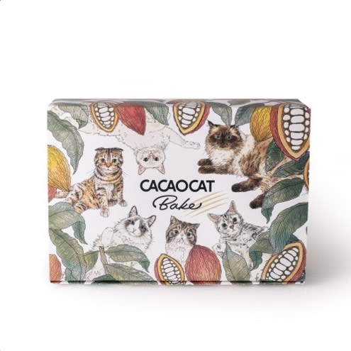 CACAOCAT Bake ミックス 6個入り